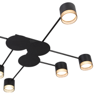 Рожковая люстра SC9747-6  BK